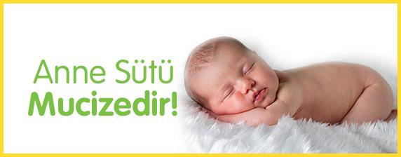 anne sütü